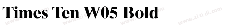 Times Ten W05 Bold字体转换
